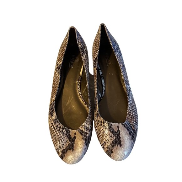 Preview International brown snake flat size 9.5 M - Picture 7 of 7